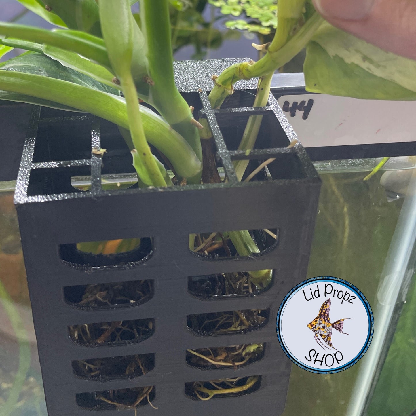 Plant Basket! Emerging Plant Holder, Aquarium Hanging Aquatic Plant Holder Fish Tank Decorations forPlants,Fish Tank Living Fish Shrimp
