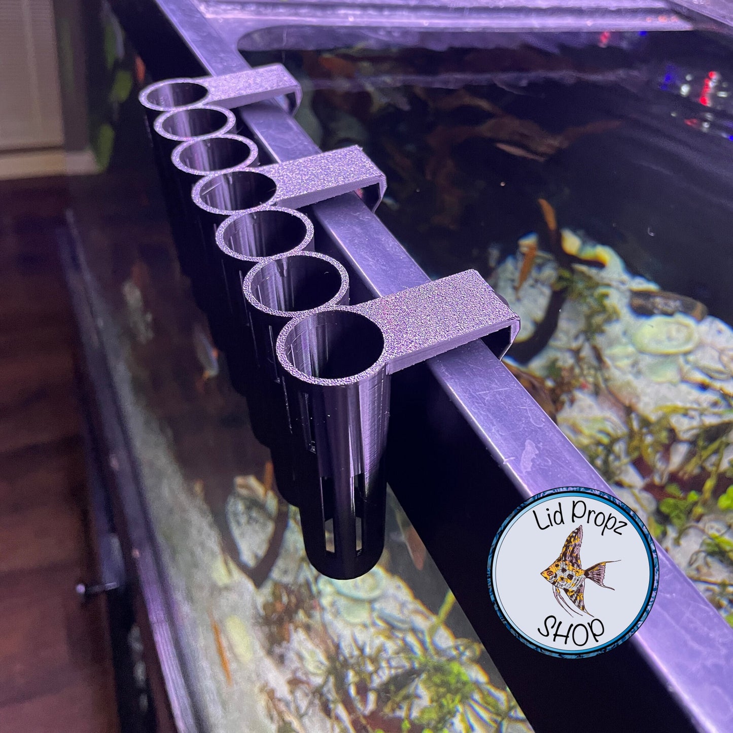 Pothos - Holder, CLIP ON, Aquaponics Aquarium, Wondering Dude, and many other plants. Nitrate Reducer!