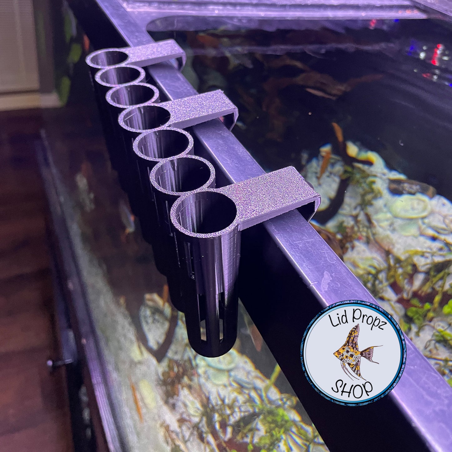 Pothos - Holder, CLIP ON, Aquaponics Aquarium, Wondering Dude, and many other plants. Nitrate Reducer!