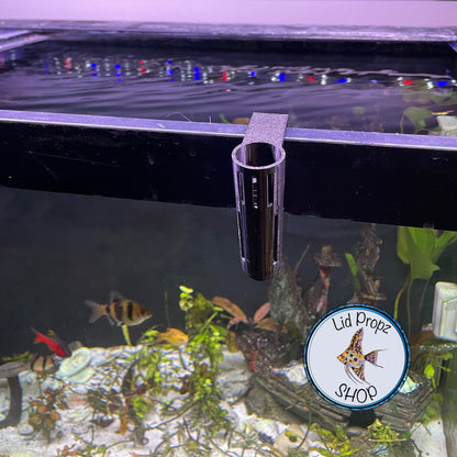 Pothos - Holder, CLIP ON, Aquaponics Aquarium, Wondering Dude, and many other plants. Nitrate Reducer!