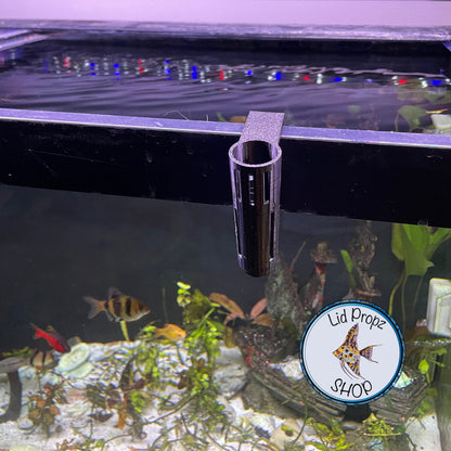 Pothos - Holder, CLIP ON, Aquaponics Aquarium, Wondering Dude, and many other plants. Nitrate Reducer!