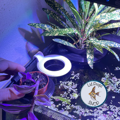 Potted Plant Holder, Potted Plants, Aquaponics Aquarium, Wondering Dude, and many other plants. Nitrate Reducer!