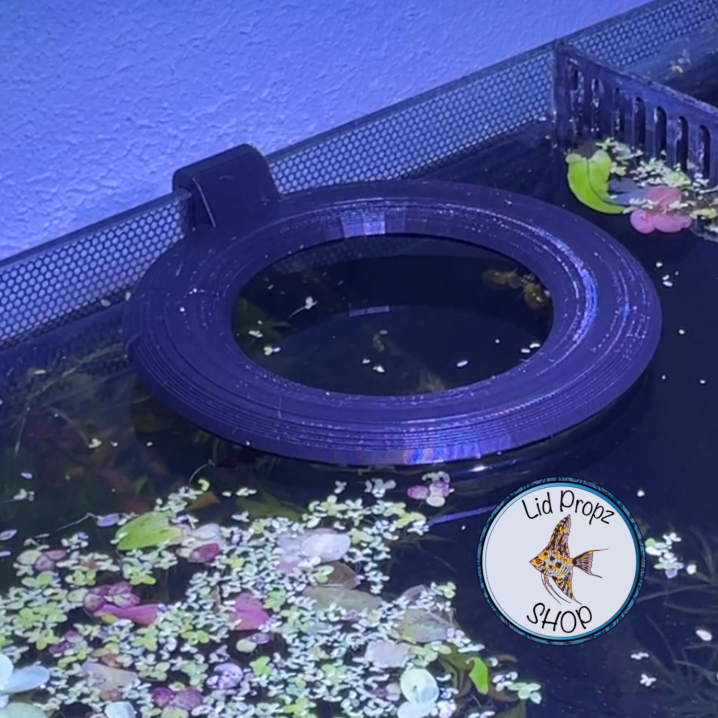 Potted Plant Holder, Potted Plants, Aquaponics Aquarium, Wondering Dude, and many other plants. Nitrate Reducer!
