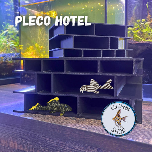 PLECO HOTEL, Pleco Hangout! Multi Spot, Large 7x7, Small 4x4
