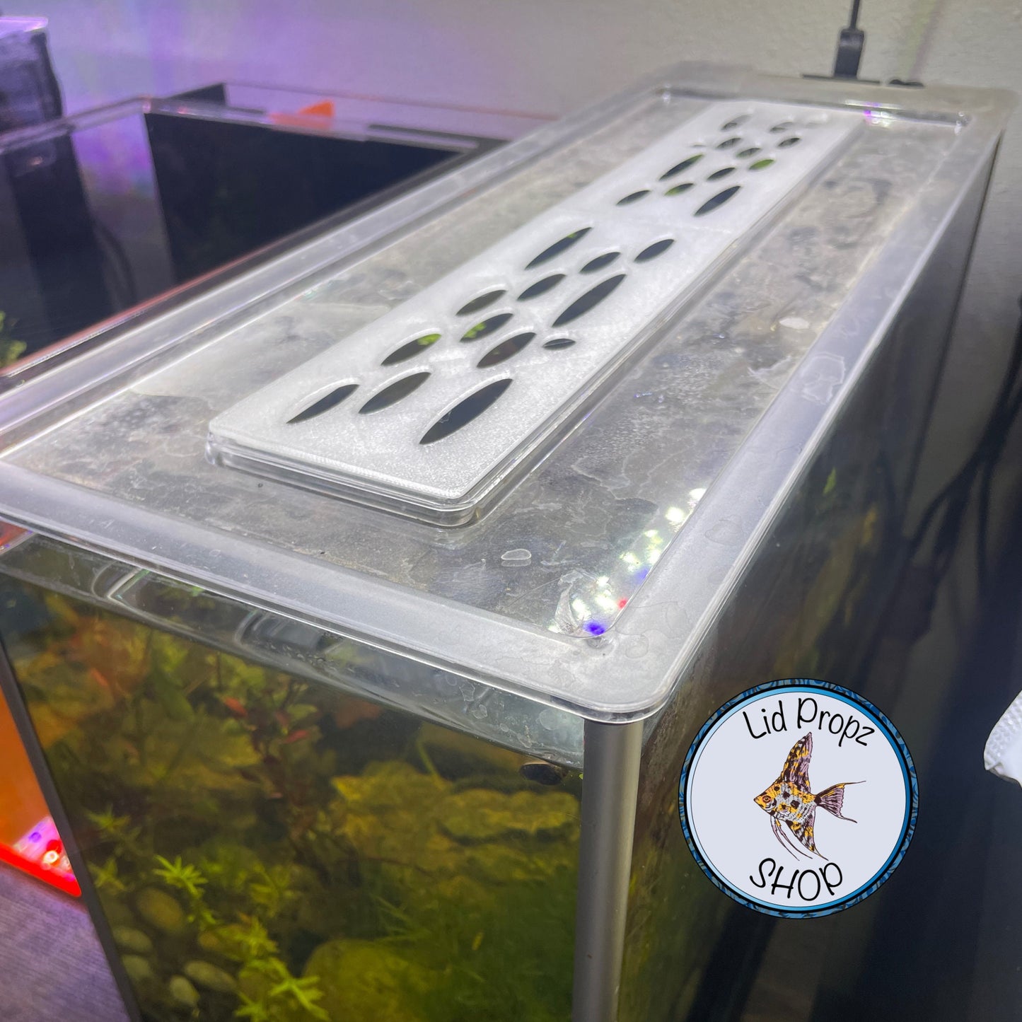 Lid Feed Hex Cover For Fluval Spec, Fits Spec 3, 5, 15 and Evo 13.5, FREE SHIPPING orders over 35
