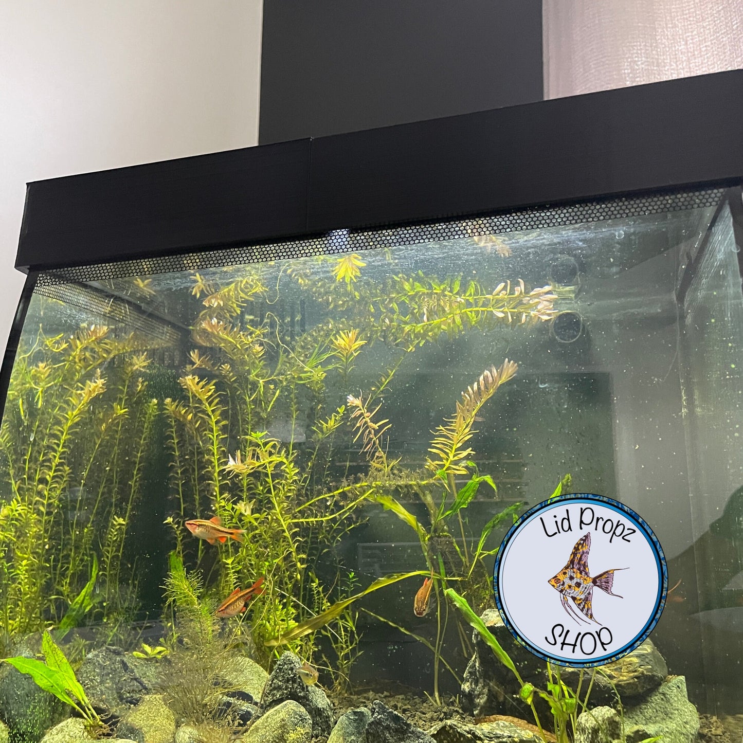 Full Enclosure Lift For Fluval Flex Lid, Lift Kit Set