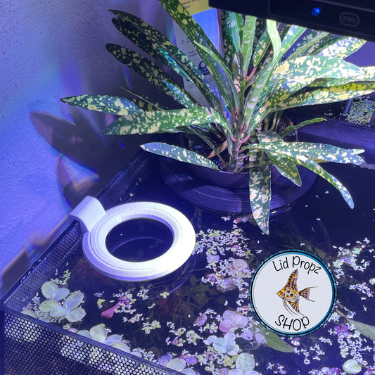 Potted Plant Holder, Potted Plants, Aquaponics Aquarium, Wondering Dude, and many other plants. Nitrate Reducer!