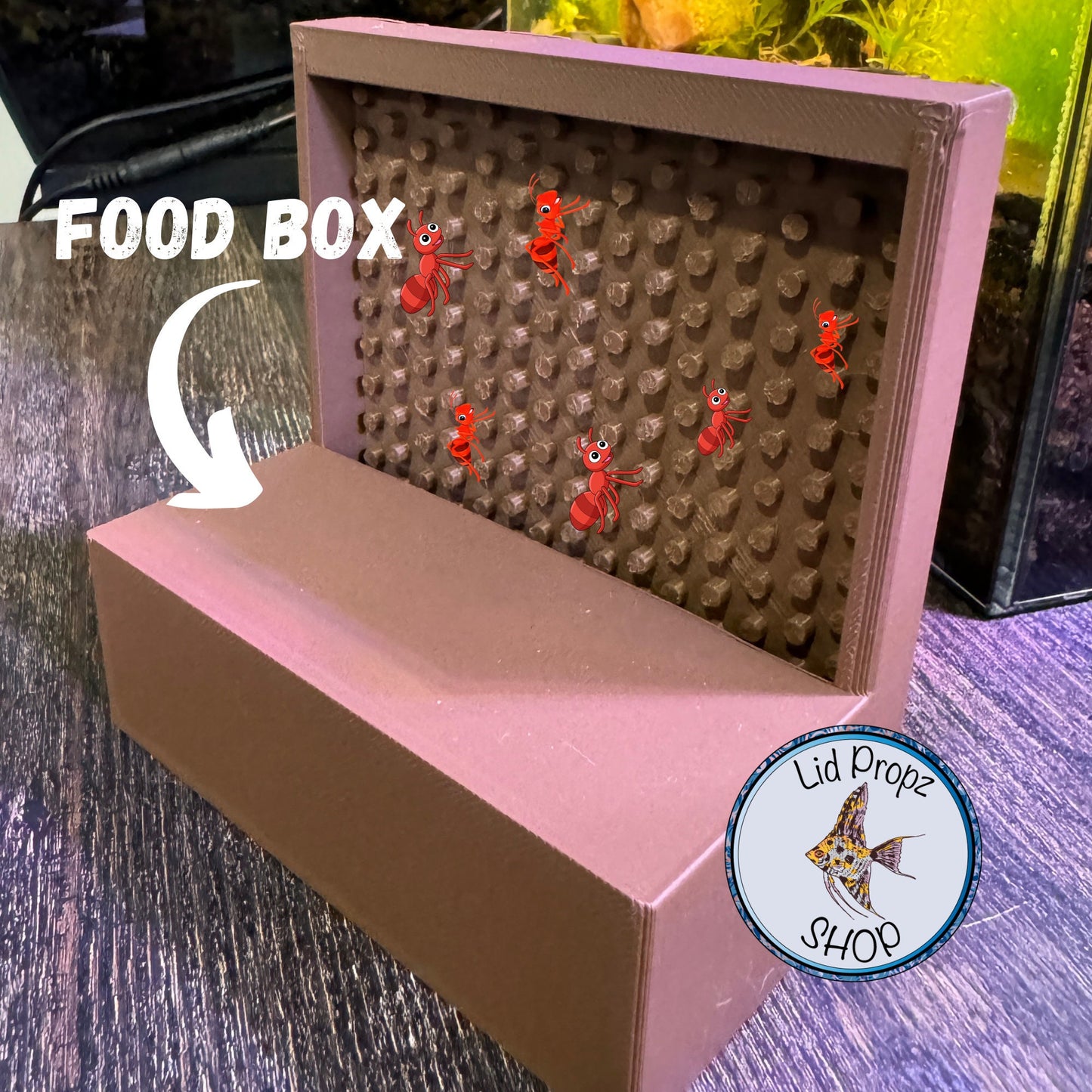Reptile Feeder! Ant Feeder for reptiles. Fun easy feeder for all reptiles and frogs of many types