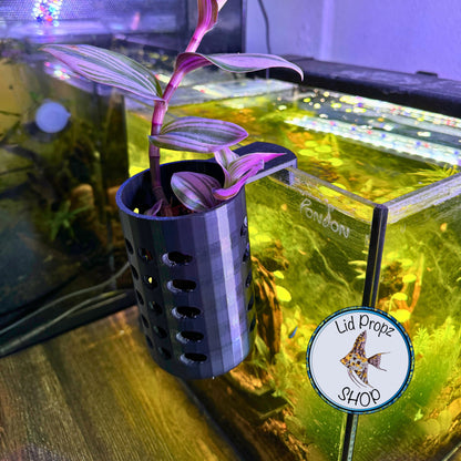 Aquarium plant stem holder WITH LECCA BALLS included! 3" Tall x 2" Wide! For fish tank propagation and aquarium nitrate reduction