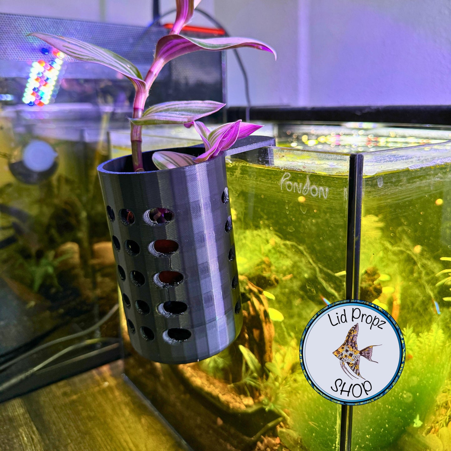 Aquarium plant stem holder WITH LECCA BALLS included! 3" Tall x 2" Wide! For fish tank propagation and aquarium nitrate reduction