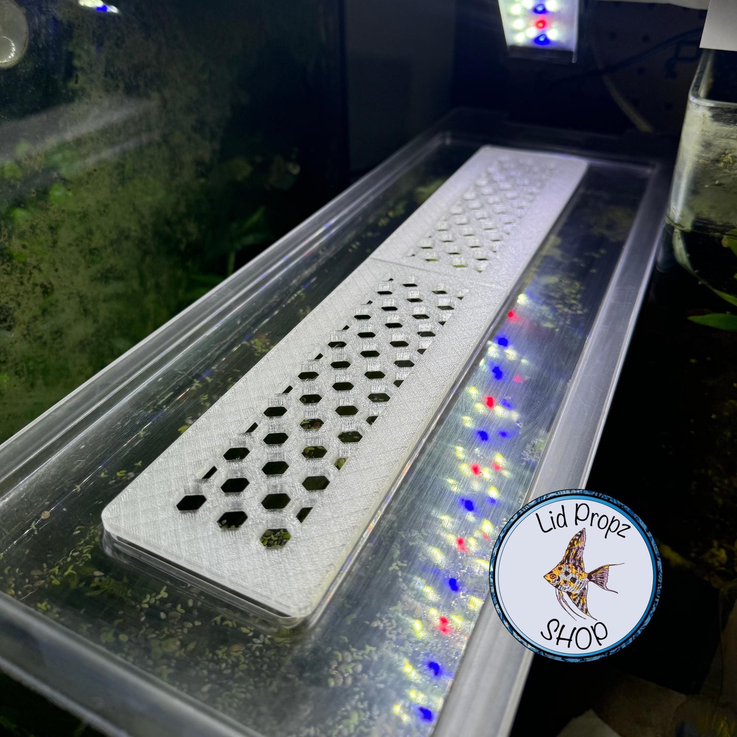 Lid Feed Hex Cover For Fluval Spec, Fits Spec 3, 5, 15 and Evo 13.5, FREE SHIPPING orders over 35