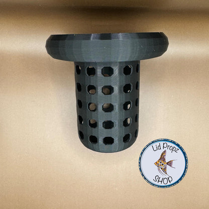 Aquaponics Floating Plant Holder. Grows On Top. Great for Pothos, Wondering Dude, and many other plants. Nitrate Reducer!