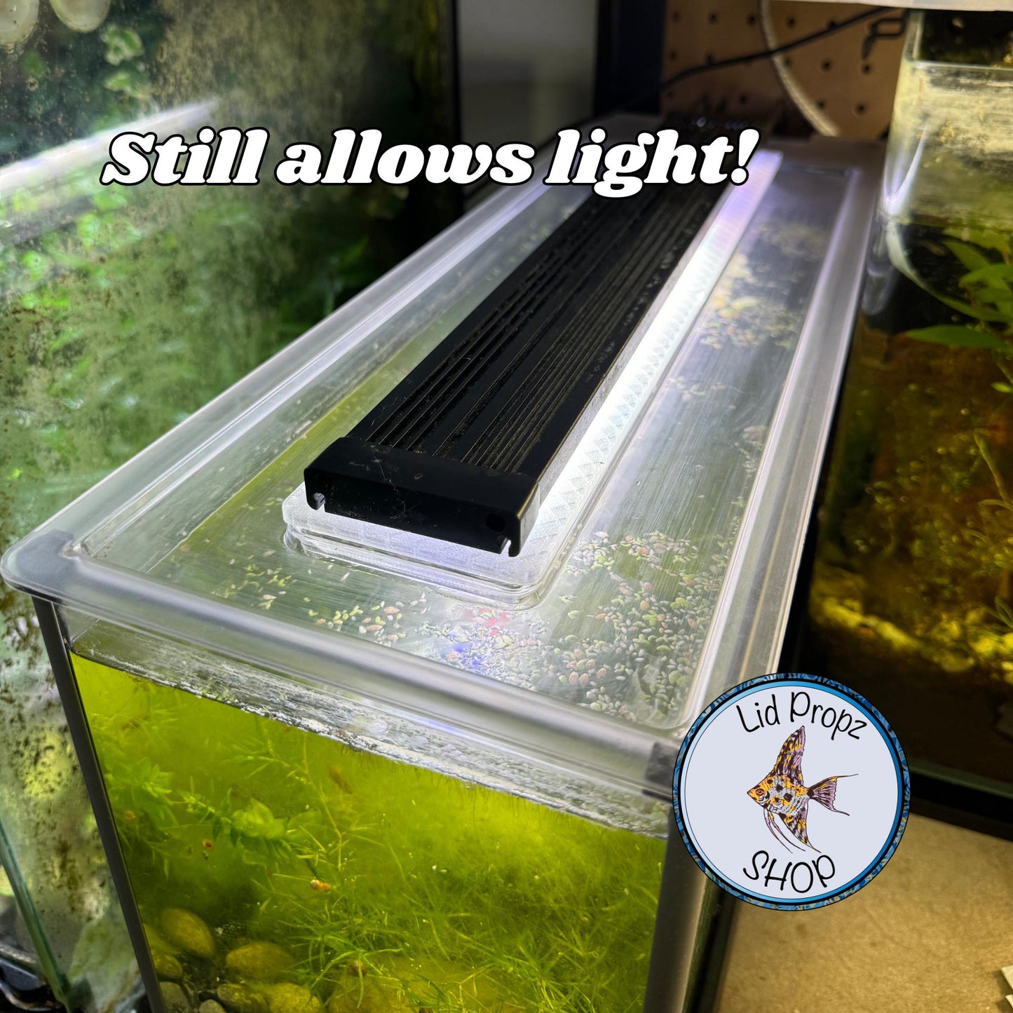 Lid Feed Full Cover For Fluval Spec, Fits Spec 3, 5, 15 and Evo 13.5, FREE SHIPPING