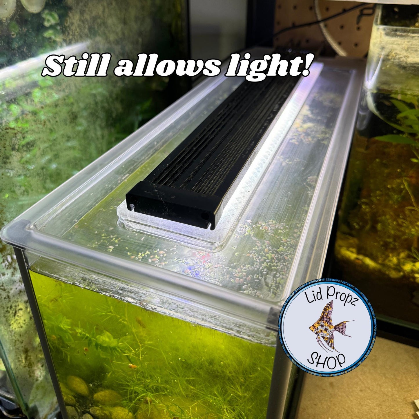 Lid Feed Hex Cover For Fluval Spec, Fits Spec 3, 5, 15 and Evo 13.5, FREE SHIPPING orders over 35