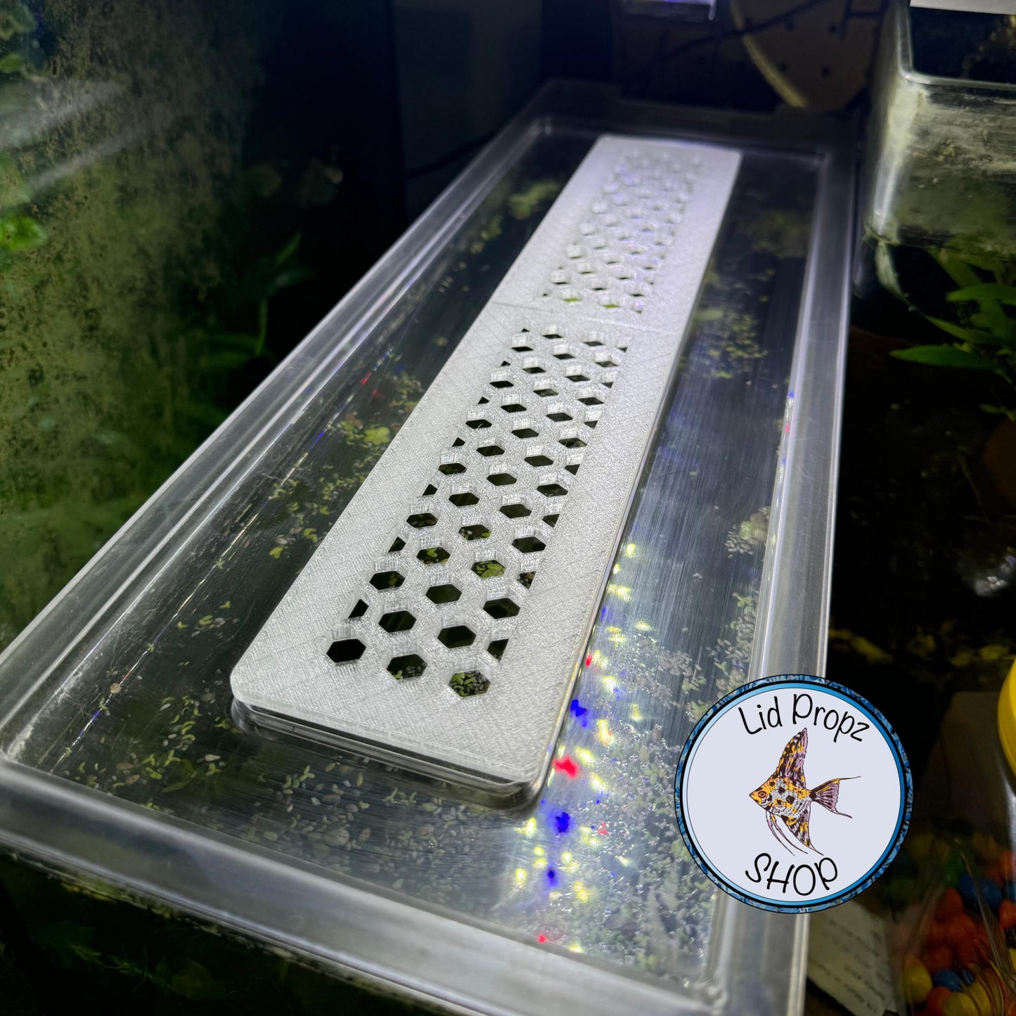 Lid Feed Hex Cover For Fluval Spec, Fits Spec 3, 5, 15 and Evo 13.5, FREE SHIPPING orders over 35