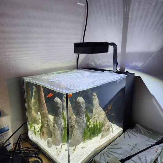 Tideline Aquarium Lids– Hinged, Ventilated, Built to Last