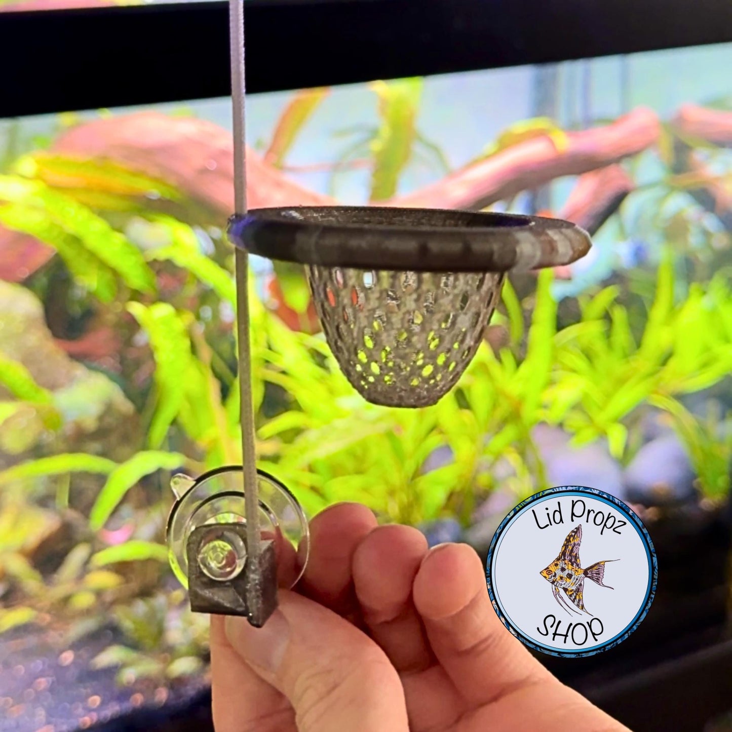 Slow Feeding Cone Feeder – Perfect for Discus Fish & Clean Aquariums! Cone Worm Feeder, Frozen Food Feeder. Floating Or Stationary