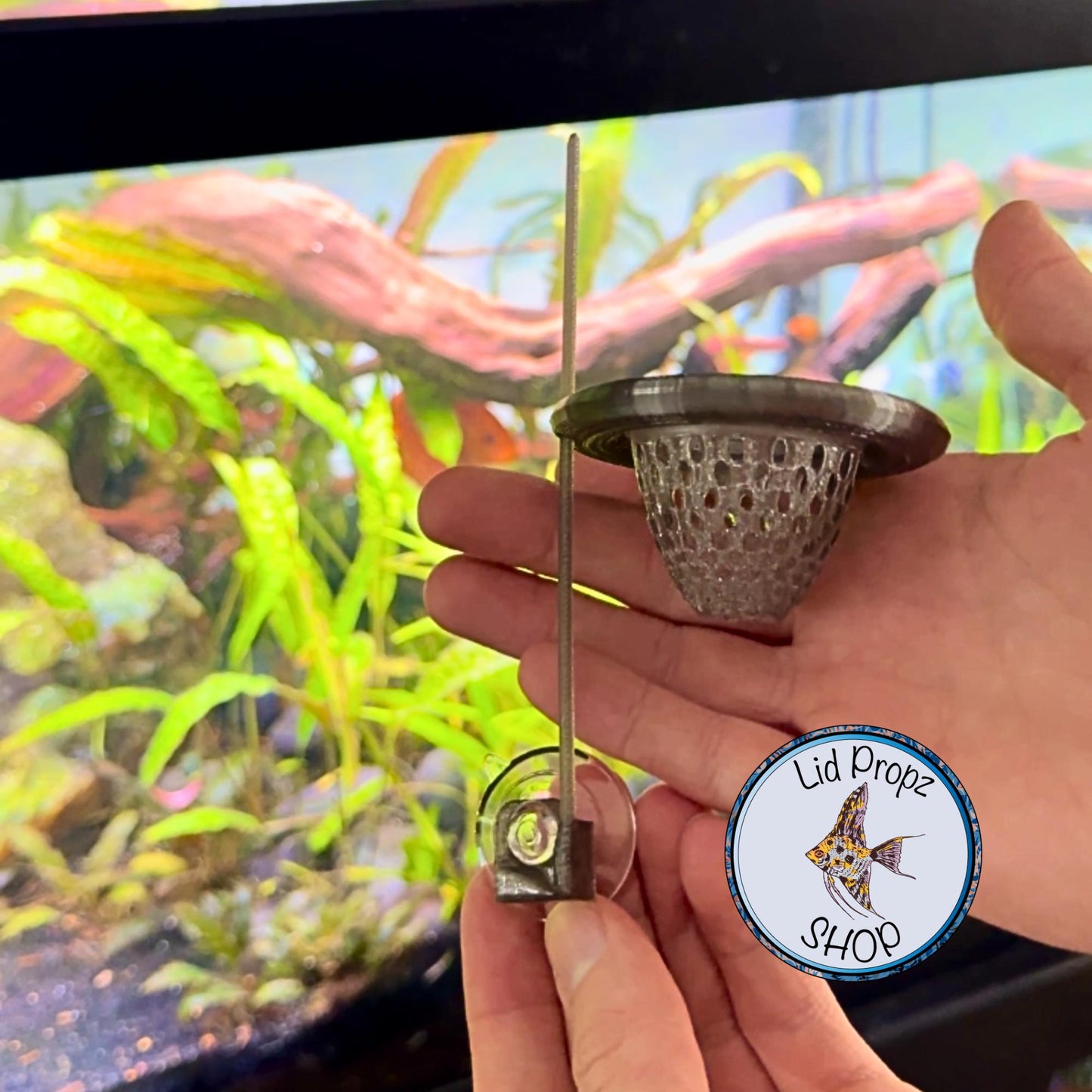 Slow Feeding Cone Feeder – Perfect for Discus Fish & Clean Aquariums! Cone Worm Feeder, Frozen Food Feeder. Floating Or Stationary