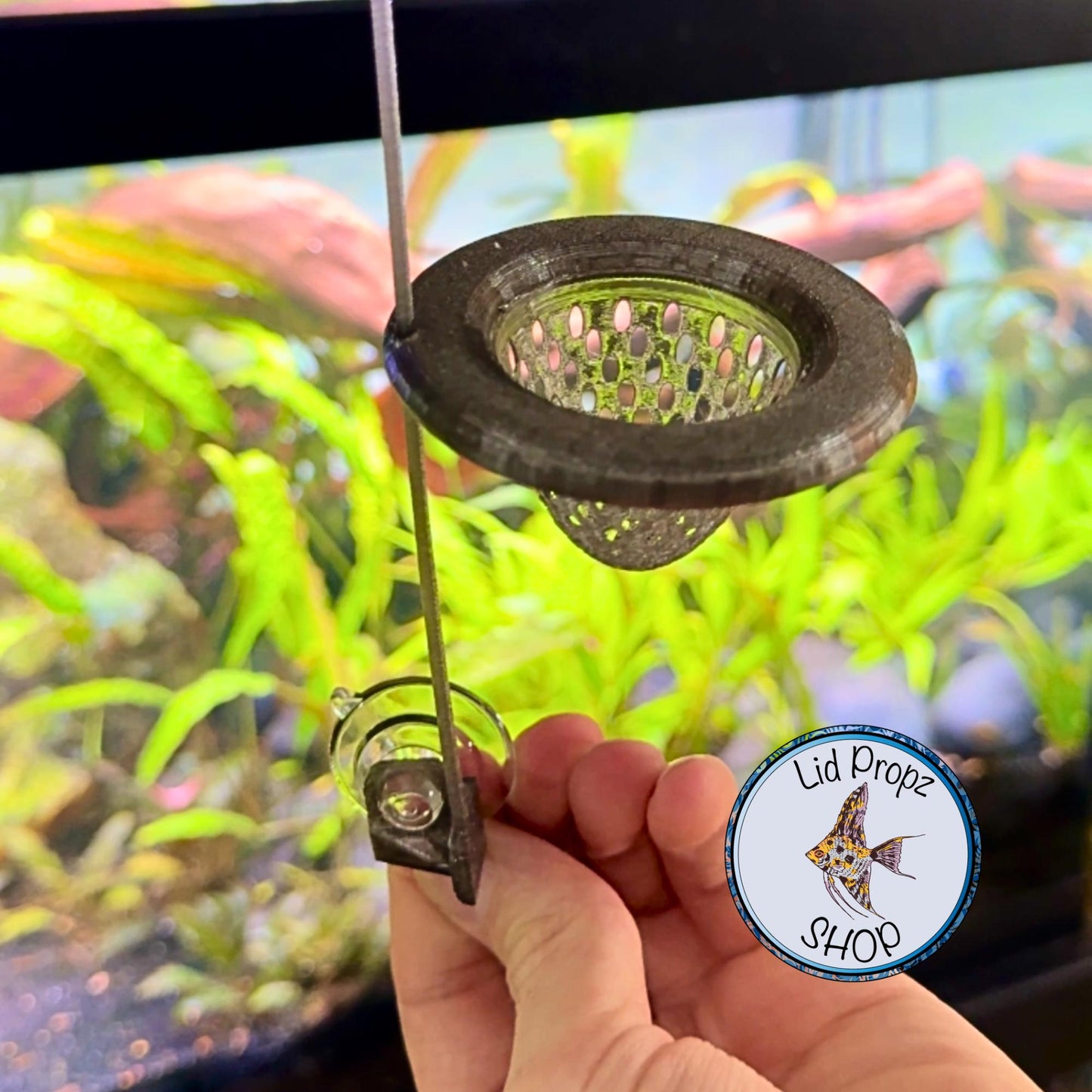 Slow Feeding Cone Feeder – Perfect for Discus Fish & Clean Aquariums! Cone Worm Feeder, Frozen Food Feeder. Floating Or Stationary