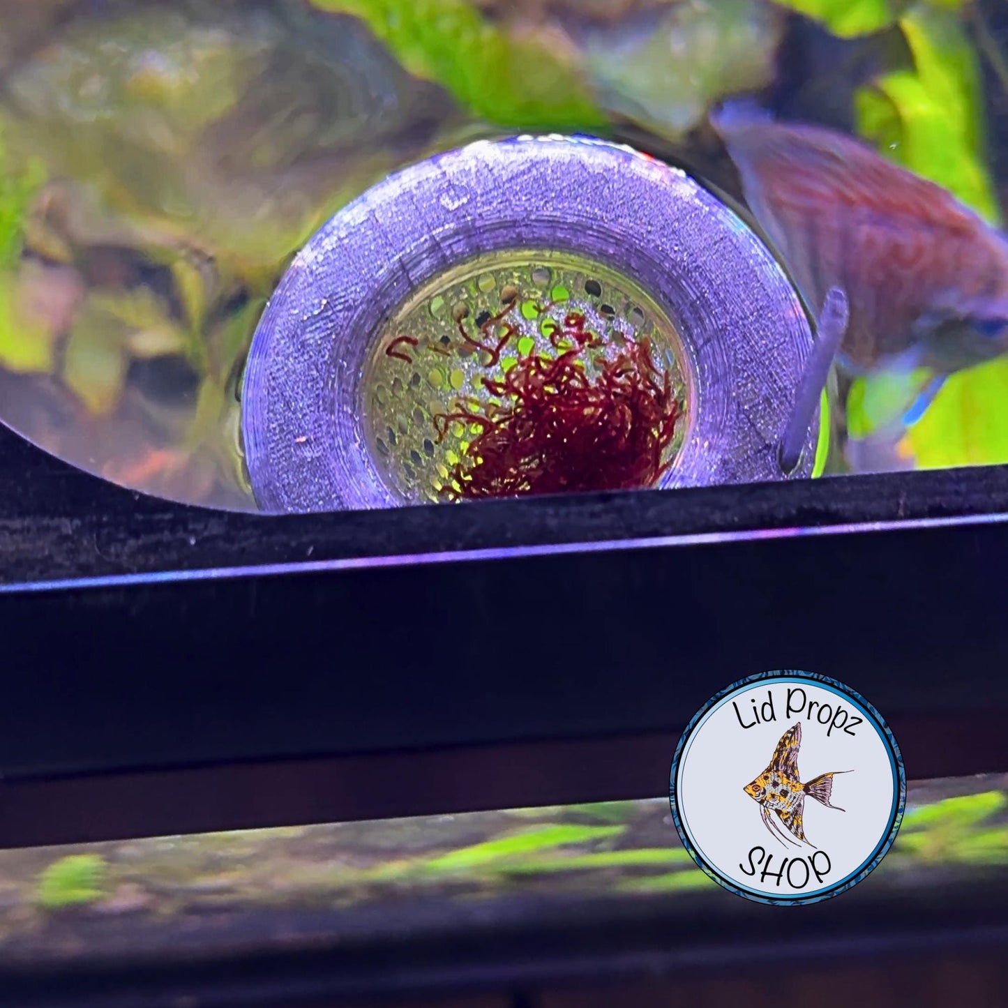 Slow Feeding Cone Feeder – Perfect for Discus Fish & Clean Aquariums! Cone Worm Feeder, Frozen Food Feeder. Floating Or Stationary