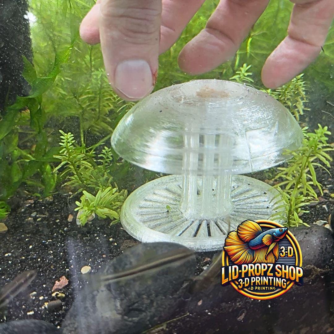 Snail Trap For Aquariums, Bladder Snails, Ramshorn Snails, Trumpet Snails. Remove Pest Snails Naturally | Safe for Shrimp, Fish & Plants