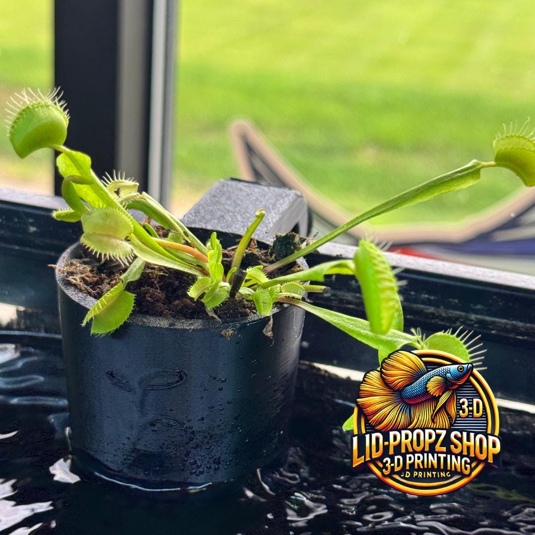 Carnivorous Plant Holder for Venus Fly Traps, Sundews, Pitcher Plants, Paludariums, Ripariums, and Terrariums – Fish Tank Safe Plant Mount