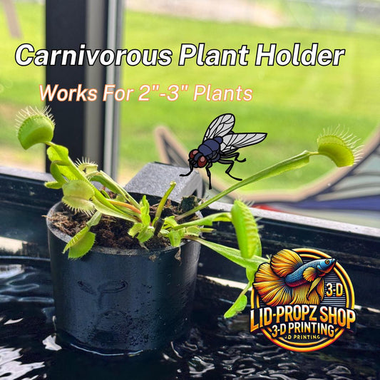 Carnivorous Plant Holder for Venus Fly Traps, Sundews, Pitcher Plants, Paludariums, Ripariums, and Terrariums – Fish Tank Safe Plant Mount